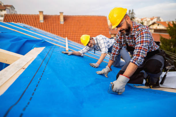 Best Roof Insulation Installation  in Edwards, MS